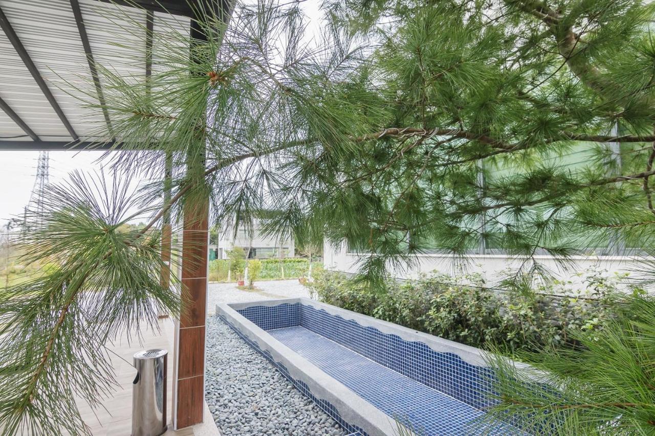 The Dawn B&B Cát An Ngoại thất bức ảnh